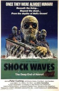 poster of Shock Waves