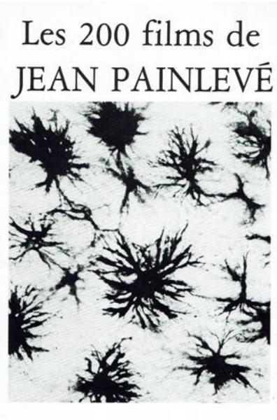 poster of {{ CONCERT.TITLE }}