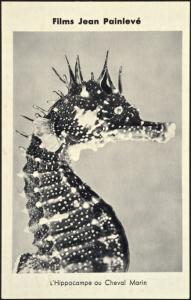 poster of Jean Painlevé - Films for Le Palais de la Decouverte (1937)