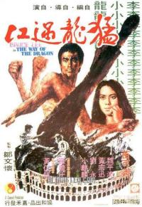 poster of The Way of the Dragon