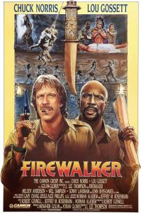 poster of Firewalker