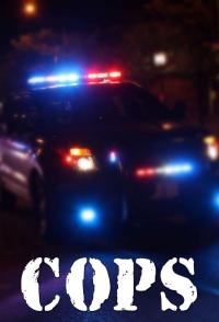 poster of Cops